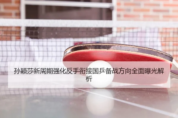孙颖莎新周期强化反手衔接国乒备战方向全面曝光解析 - SABASports